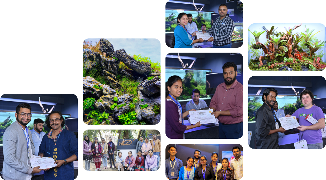 TiCi Nature Academy About Banner