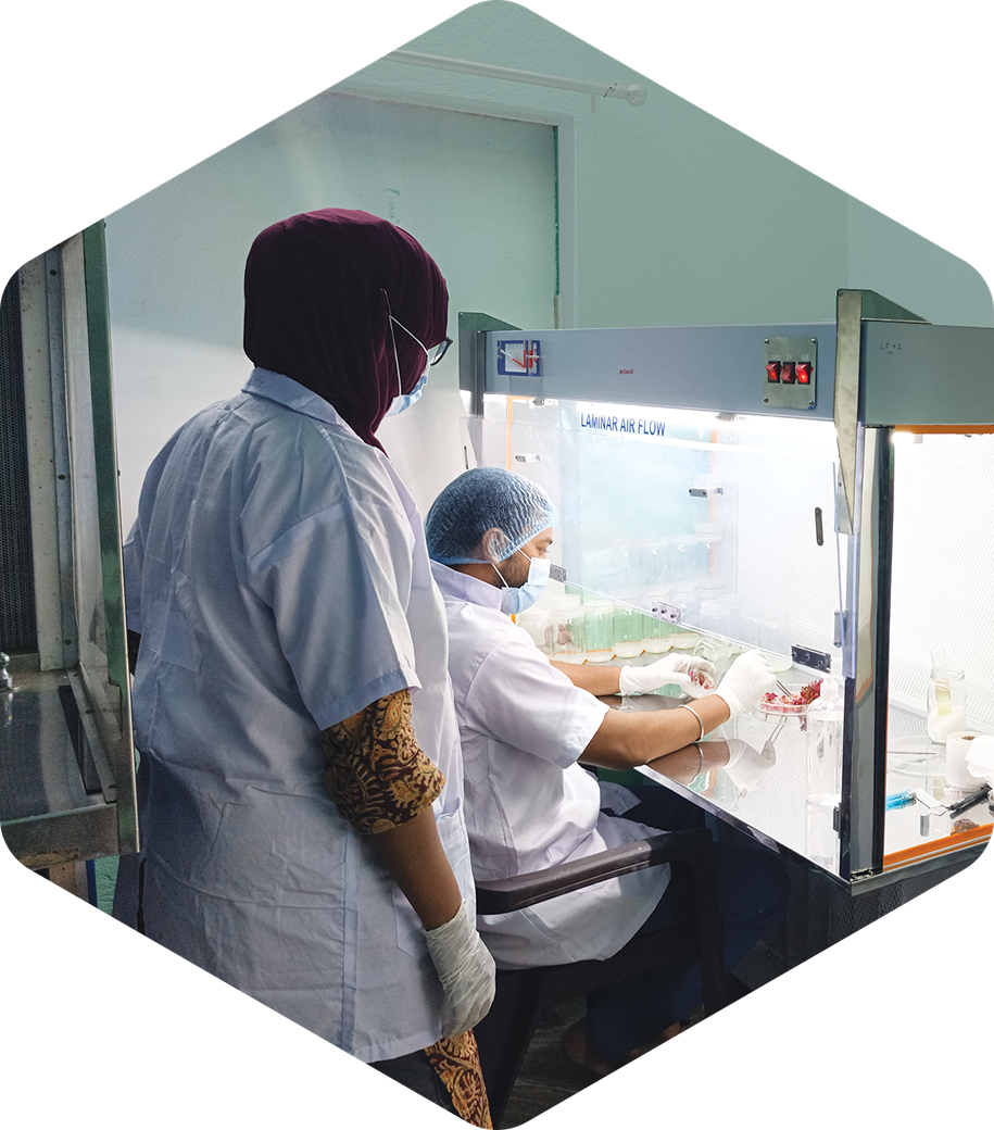 TiCi Nature Academy About