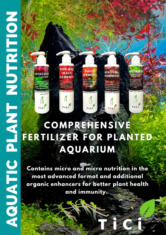 TiCi Nature Academy About Image