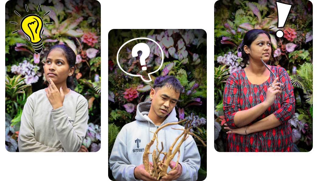 TiCi Nature Academy FAQ Banner