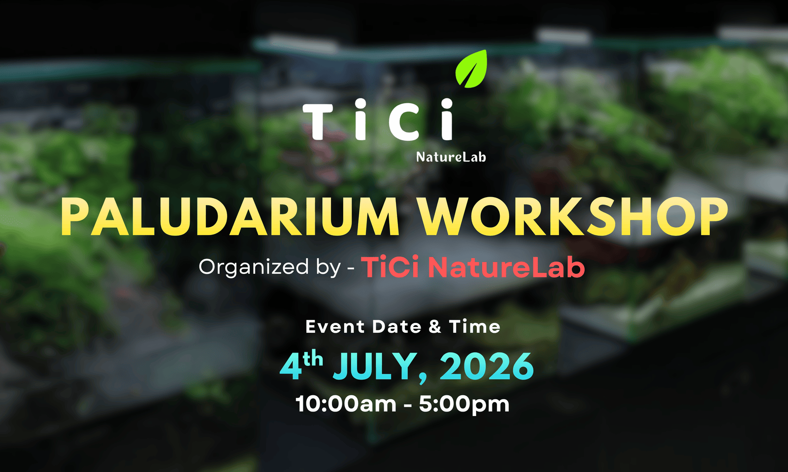 Paludarium Workshop