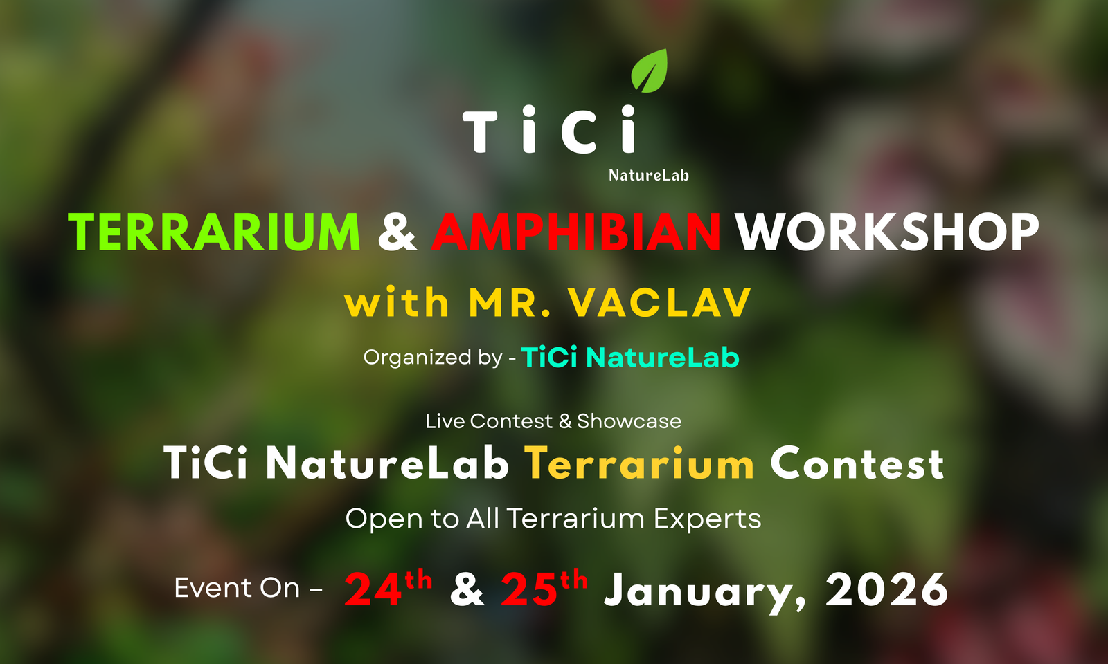 Terrarium and Amphibian Workshop